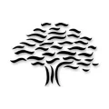Logo Blum, Andreas Prof.Dr.med.