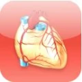 Logo Markworth, Gerd-Peter Prof.Dr.med.