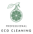 Logo Professional eco cleaning Berlin UG (haftungsbeschränkt) i. Gr.