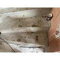 Profi Heiztechnik SHK GmbH Br&uuml;ggen