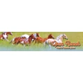 Logo Profi-Westernreitsport Ute Hoppe & Thomas Irmer