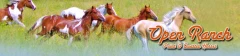Logo Profi-Westernreitsport Ute Hoppe & Thomas Irmer