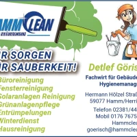 HammClean 