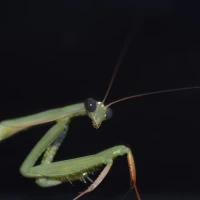 Profilbild von 11880.com