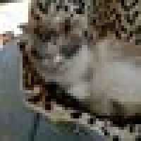 Carmen S. image