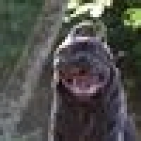 Karsten H. image