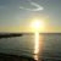 Sieglinde U. U. image