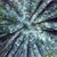 Agrintur C. image