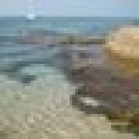 Nadine S. image