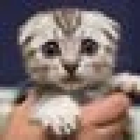 Tom-Kun S. image
