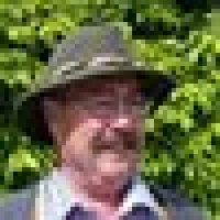Alois P. image