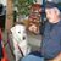 Olaf S. image