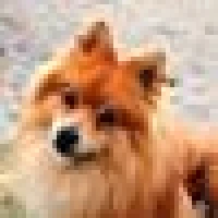 Profilbild von 11880.com
