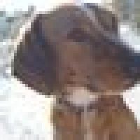 Mathias S. image