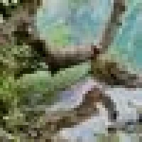 Michaela S. image