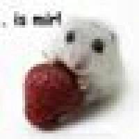 Ekieh E. image