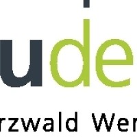 zazudesign