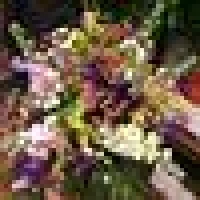 Martyna S. image
