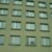Sus A. image
