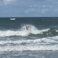 Profilbild von 11880.com