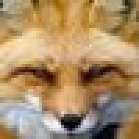 Profilbild von 11880.com