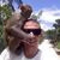 Chris T. image