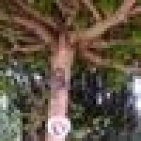 Beckers B. image