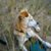 Marlies F. image