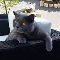 Profilbild von 11880.com