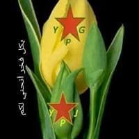 Amar H. image