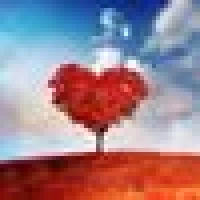 Doni D. image