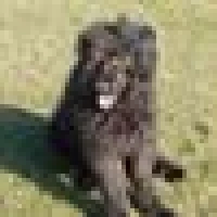 Bubi F. image