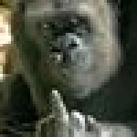 Hanniball Maurer M. image