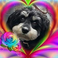 Charly W. image