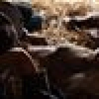 H Eike H. image