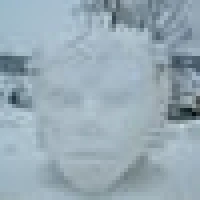 Otto H. image