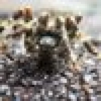Ed V. image