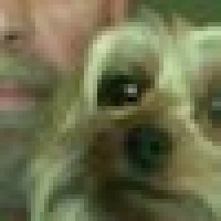 Eddy S. image