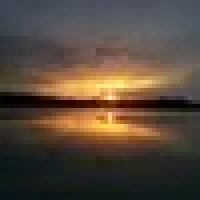 Bob N. image