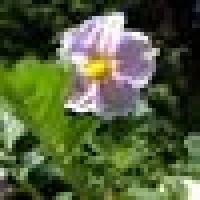 Moni M. image