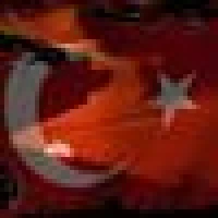 Ali P. image