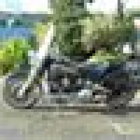 Harley M. image
