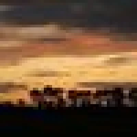 Eifel H. image