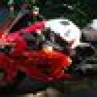 Gert R. image