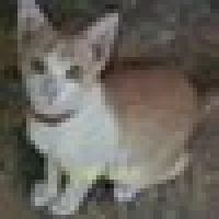 Rosemarie B. image
