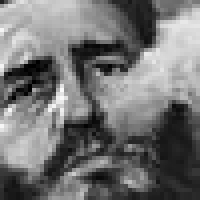 Li T. image