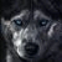 Kai R. image
