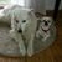 Andreas A. image