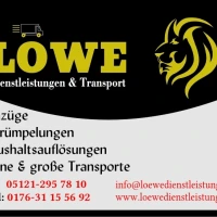 Löwe Team