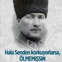 Engin B. image